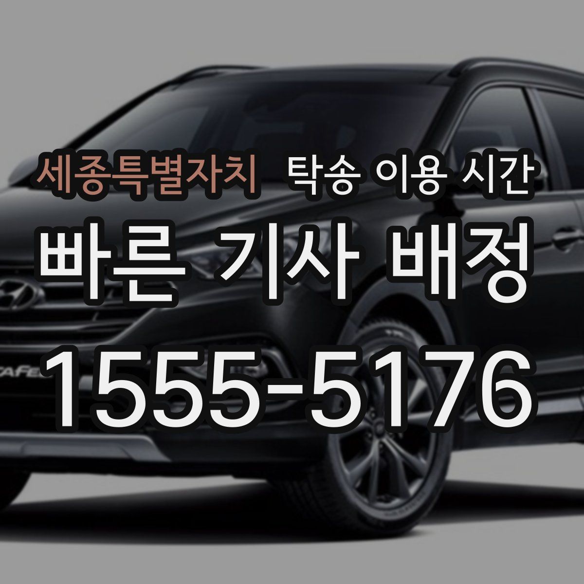 세종특별자치 탁송 이용 시간