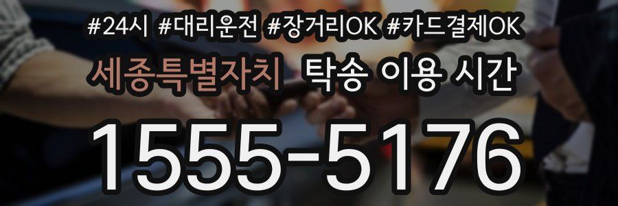 세종특별자치 탁송 이용 시간