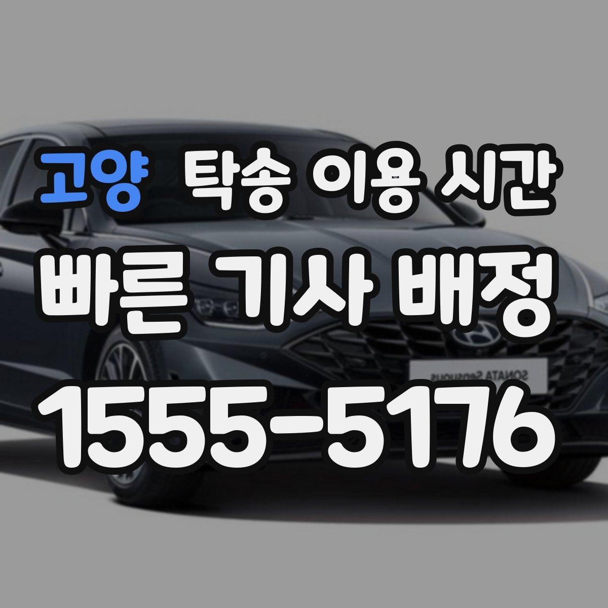 고양 탁송 이용 시간 보험 가입 상태 확인이 늦어질 때