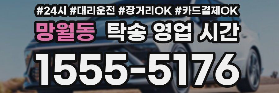 망월동 탁송 영업 시간
