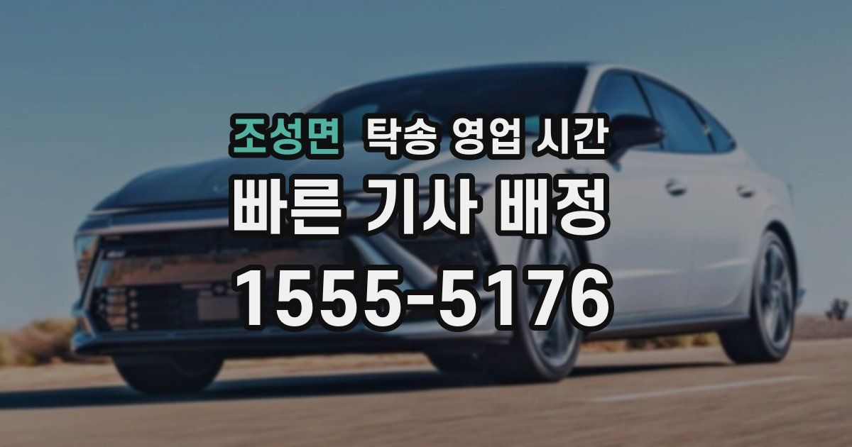 조성면 탁송 영업 시간
