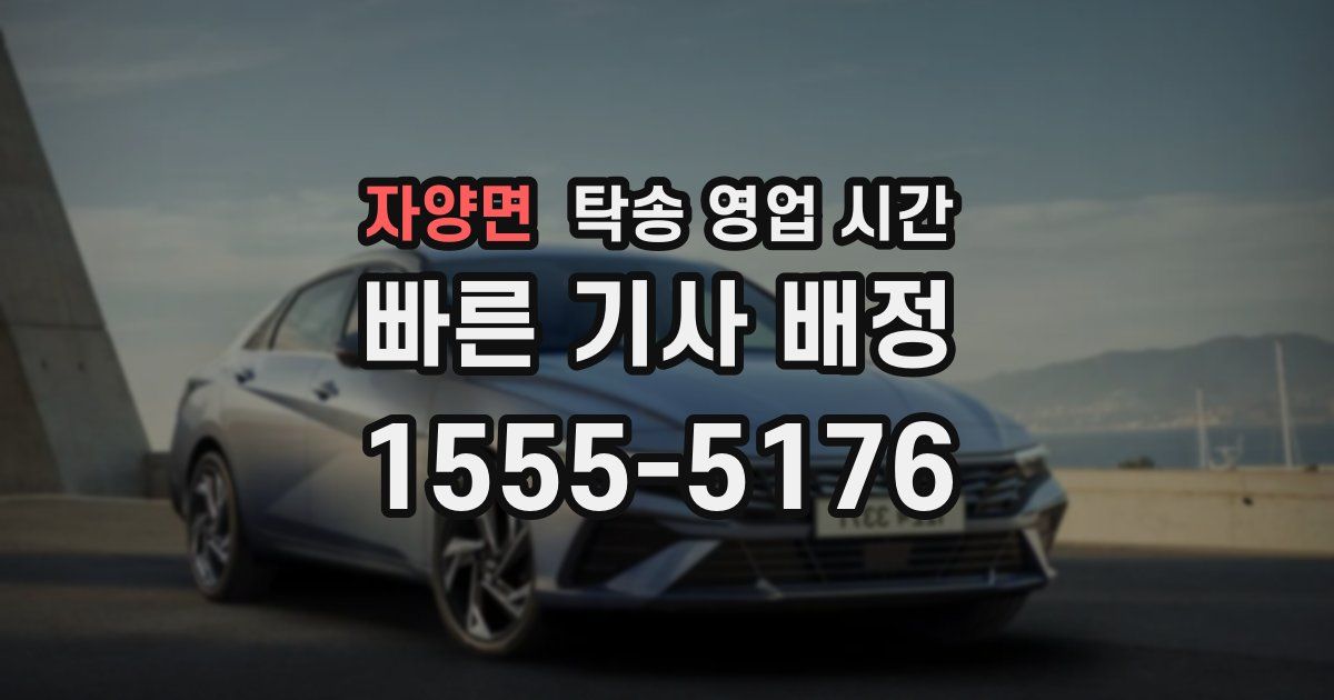 자양면 탁송 영업 시간