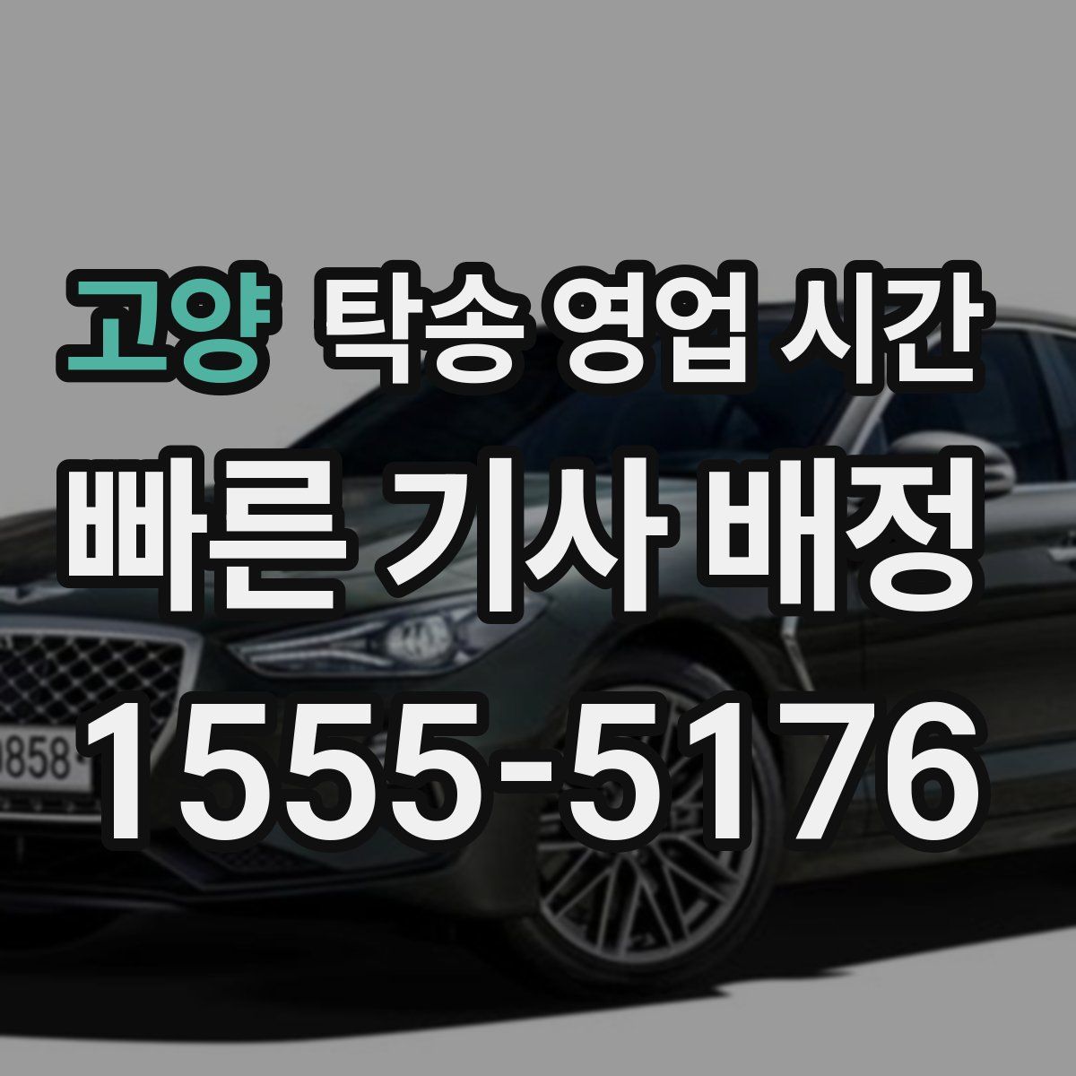 고양 탁송 영업 시간