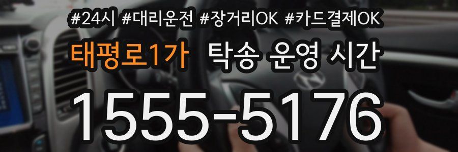 태평로1가 탁송 운영 시간