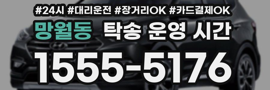 망월동 탁송 운영 시간