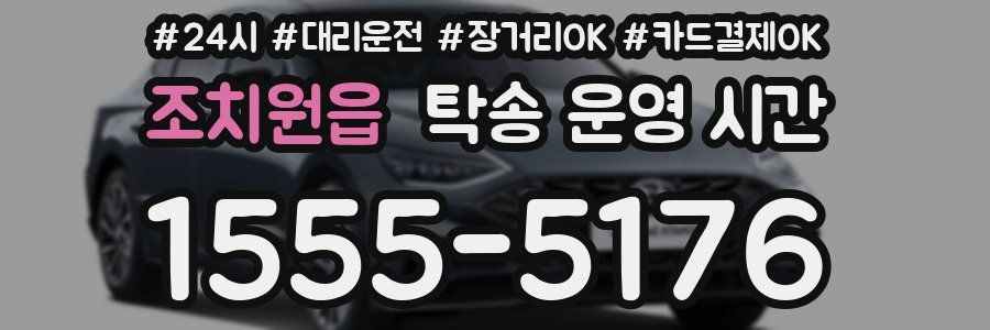 조치원읍 탁송 운영 시간
