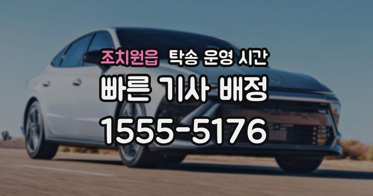 조치원읍 탁송 운영 시간