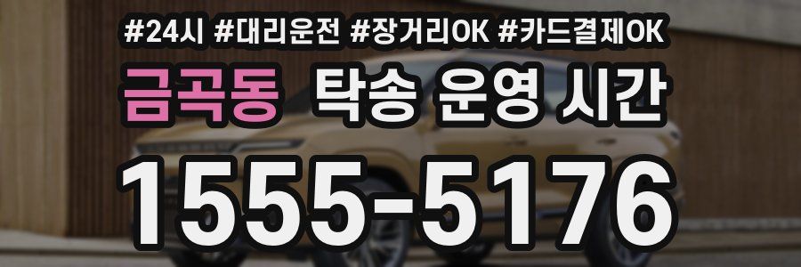 금곡동 탁송 운영 시간