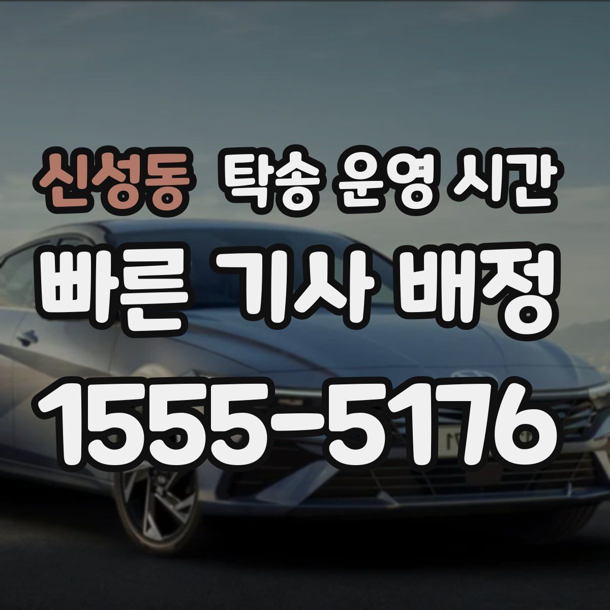 신성동 탁송 운영 시간