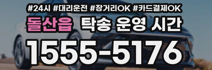 돌산읍 탁송 운영 시간