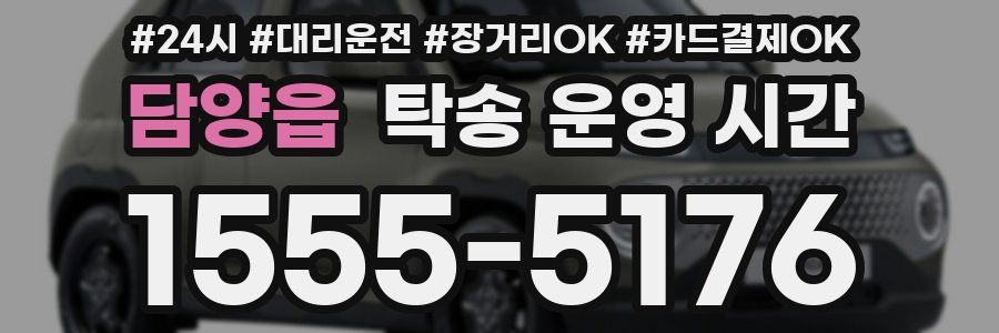 담양읍 탁송 운영 시간