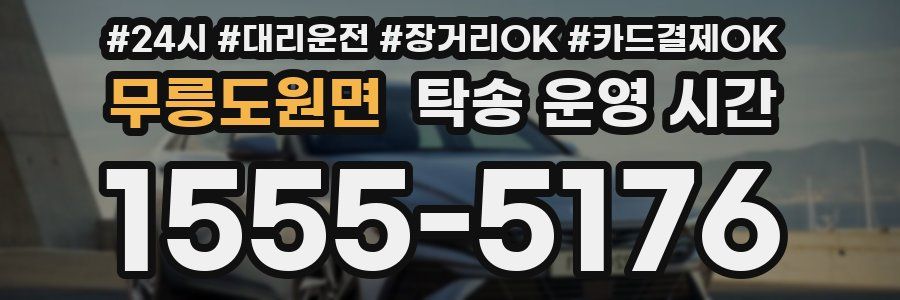 무릉도원면 탁송 운영 시간