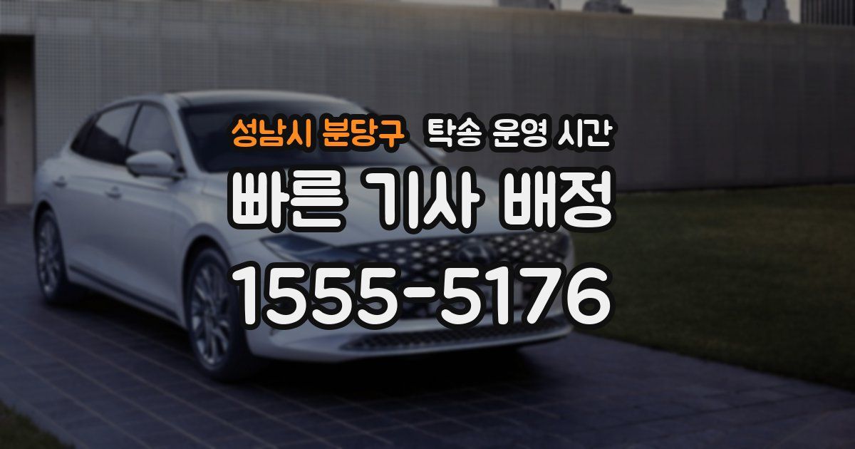 성남시 분당구 탁송 운영 시간