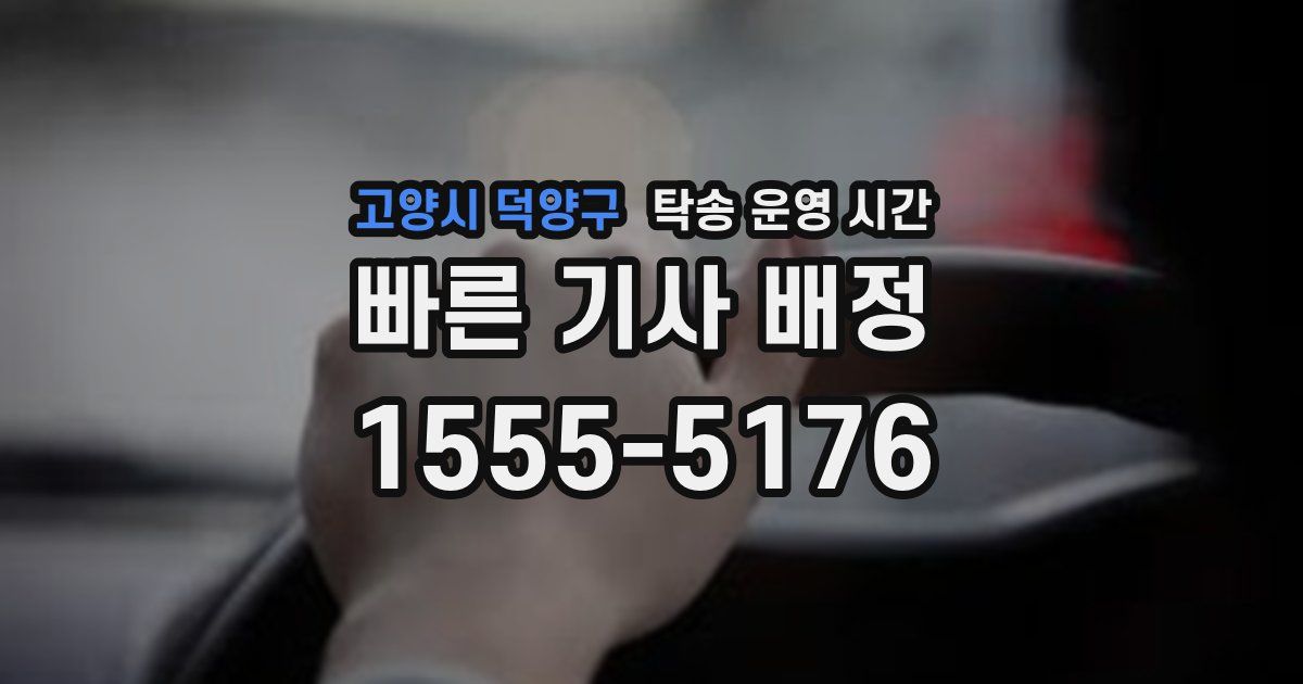 고양시 덕양구 탁송 운영 시간