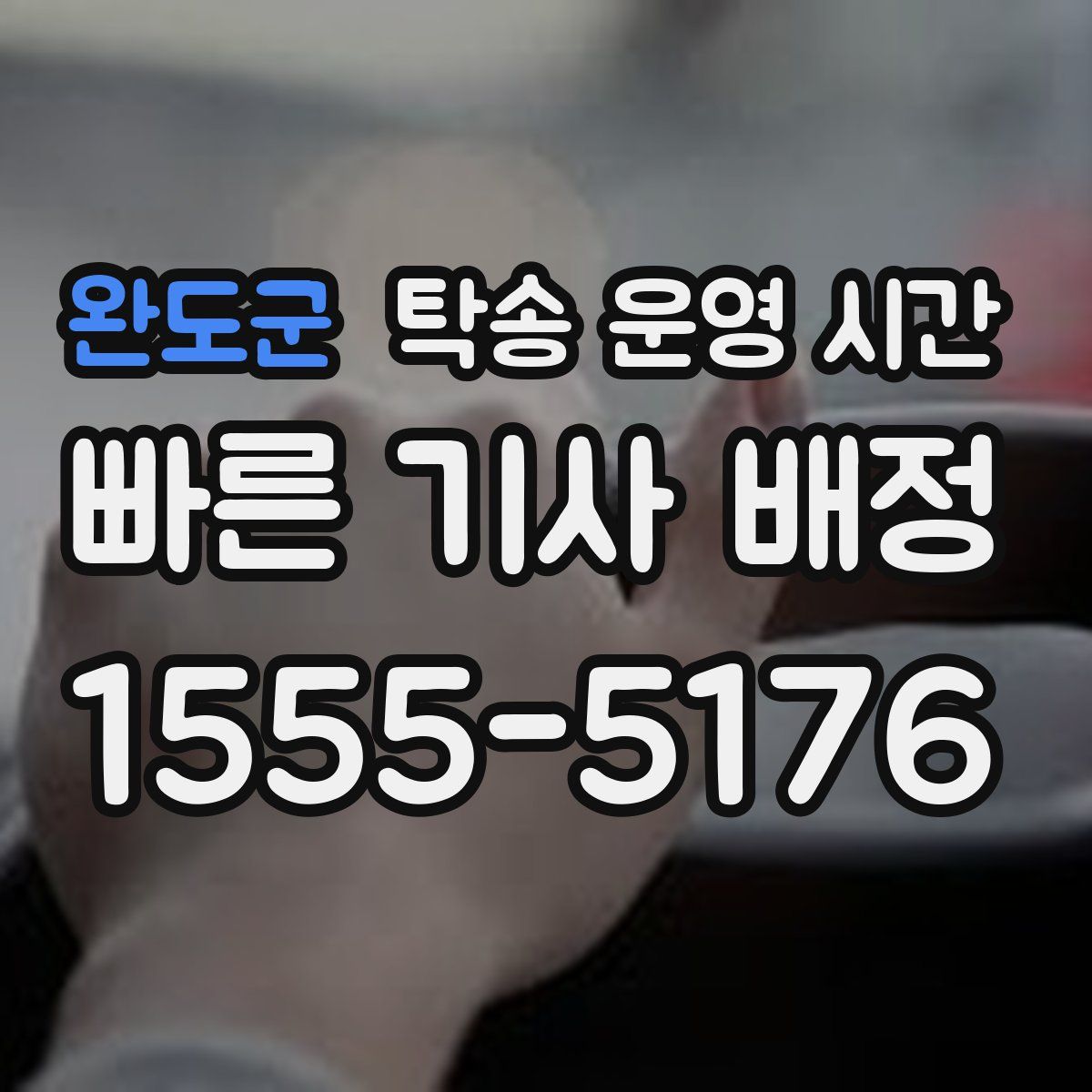 완도군 탁송 운영 시간