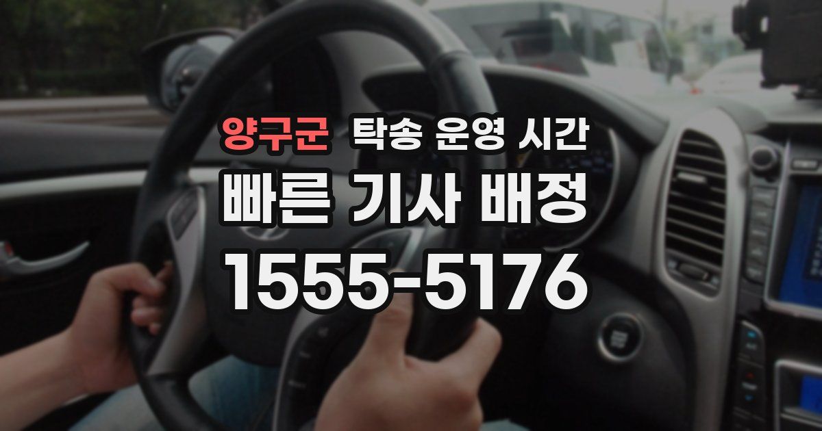양구군 탁송 운영 시간