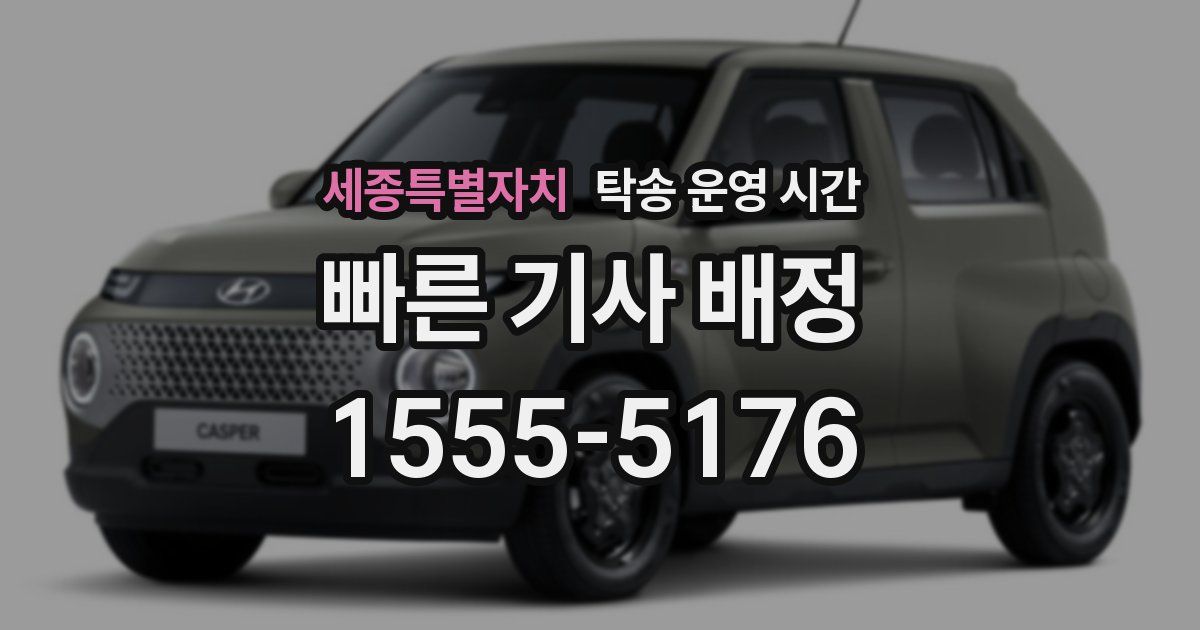 세종특별자치 탁송 운영 시간