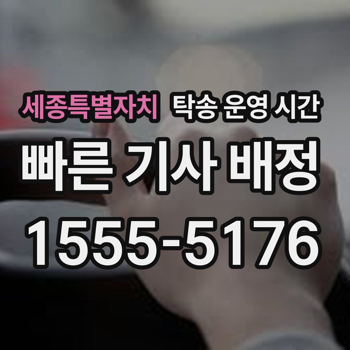 세종특별자치 탁송 운영 시간