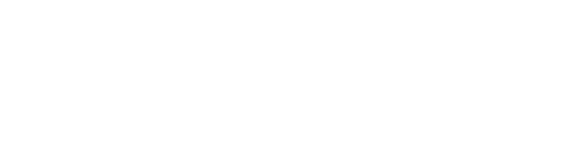 스피드 대리운전