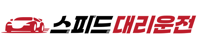 스피드 대리운전