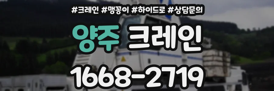양주 크레인