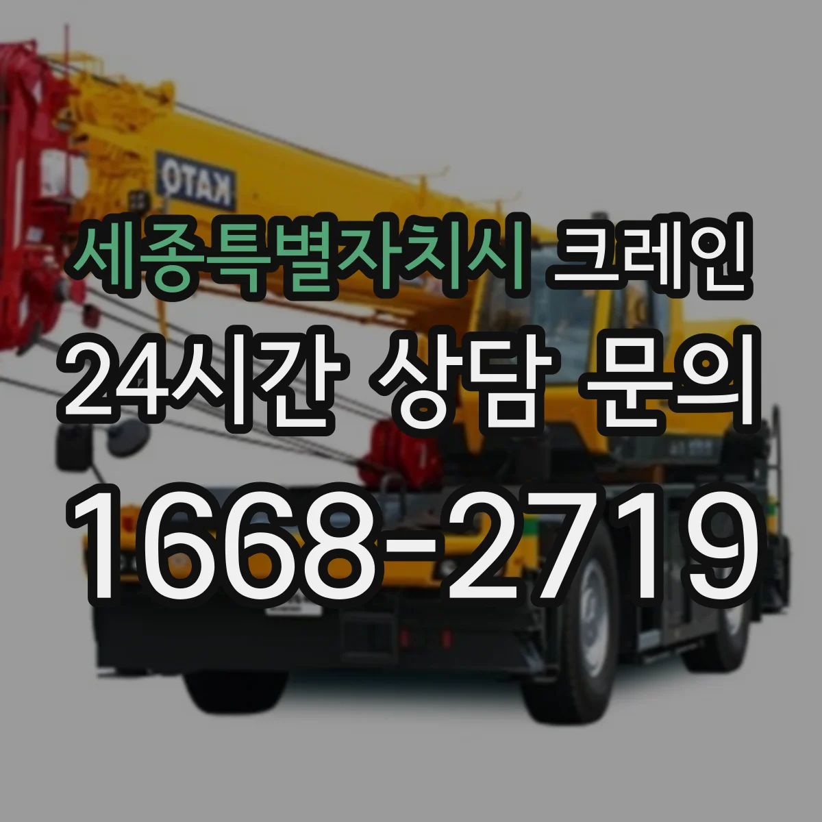 세종특별자치시 크레인