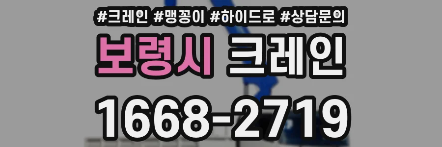 보령시 크레인
