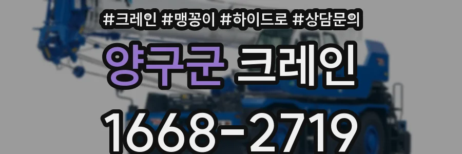 양구군 크레인