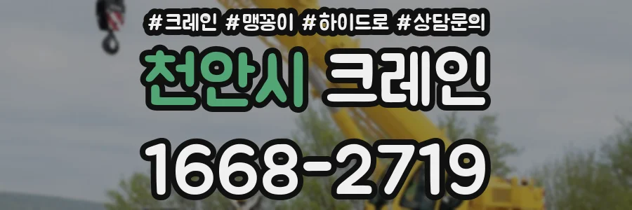 천안시 크레인