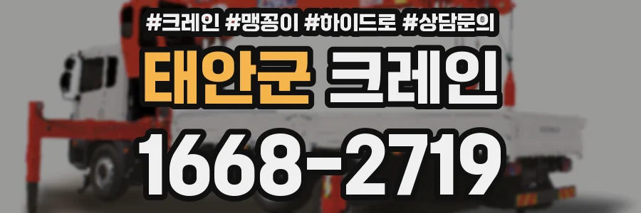 태안군 크레인