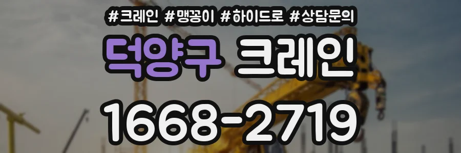 덕양구 크레인