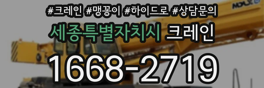 세종특별자치시 크레인