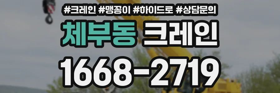 체부동 크레인