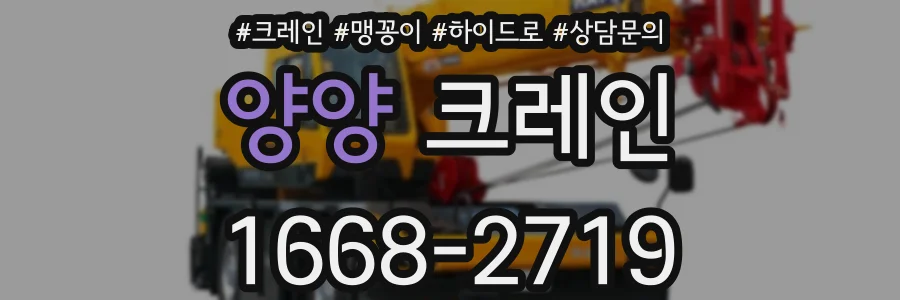 양양 크레인
