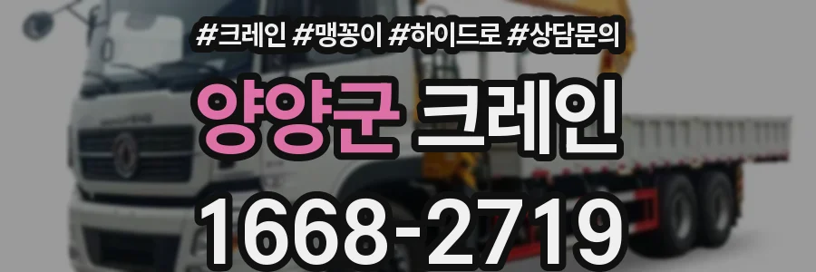 양양군 크레인