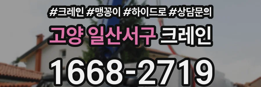 고양 일산서구 크레인
