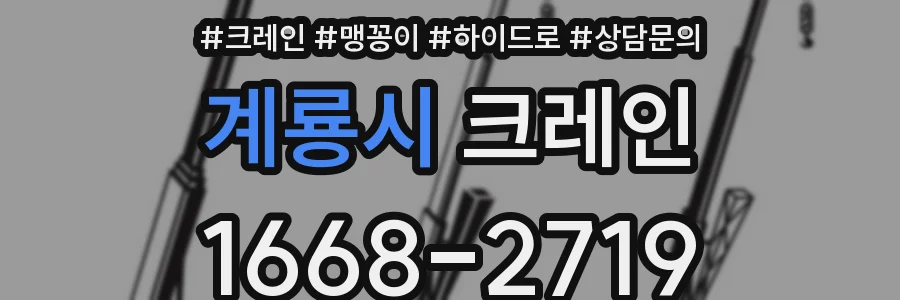 계룡시 크레인