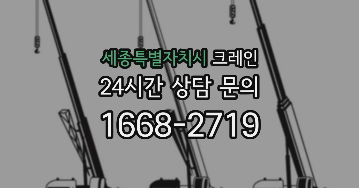 세종특별자치시 크레인