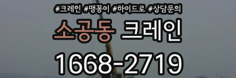 소공동 크레인