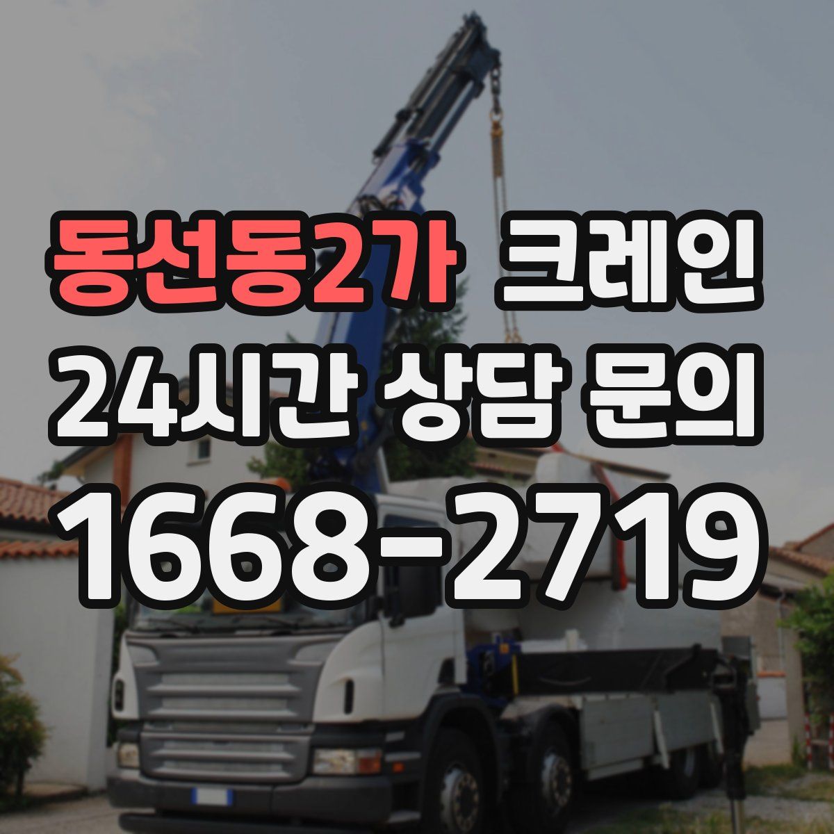 동선동2가 카고 크레인