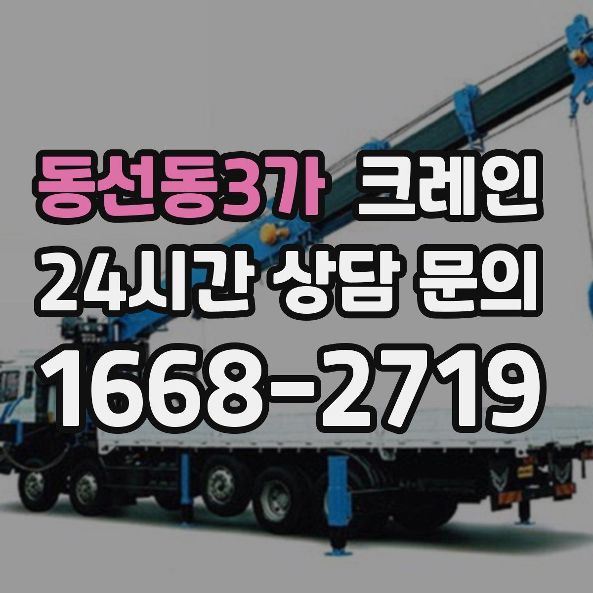 동선동3가 카고 크레인