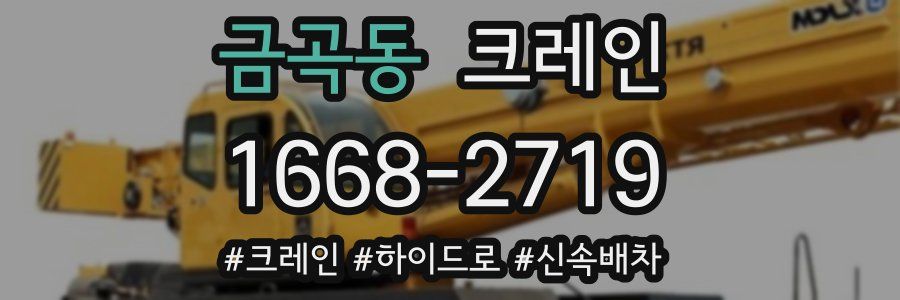 금곡동 크레인 작업