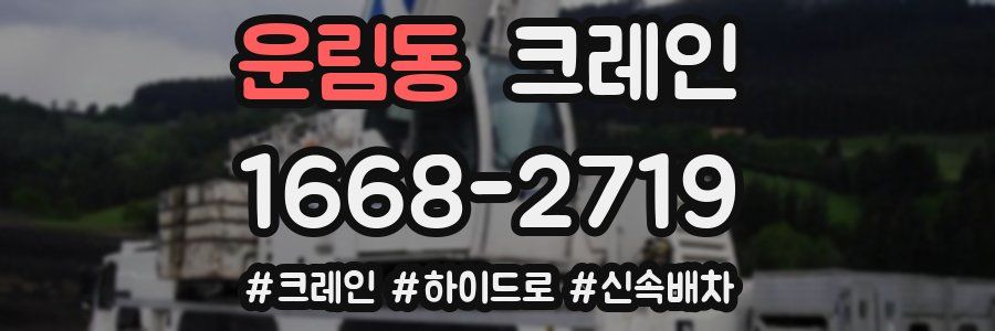 운림동 크레인 작업