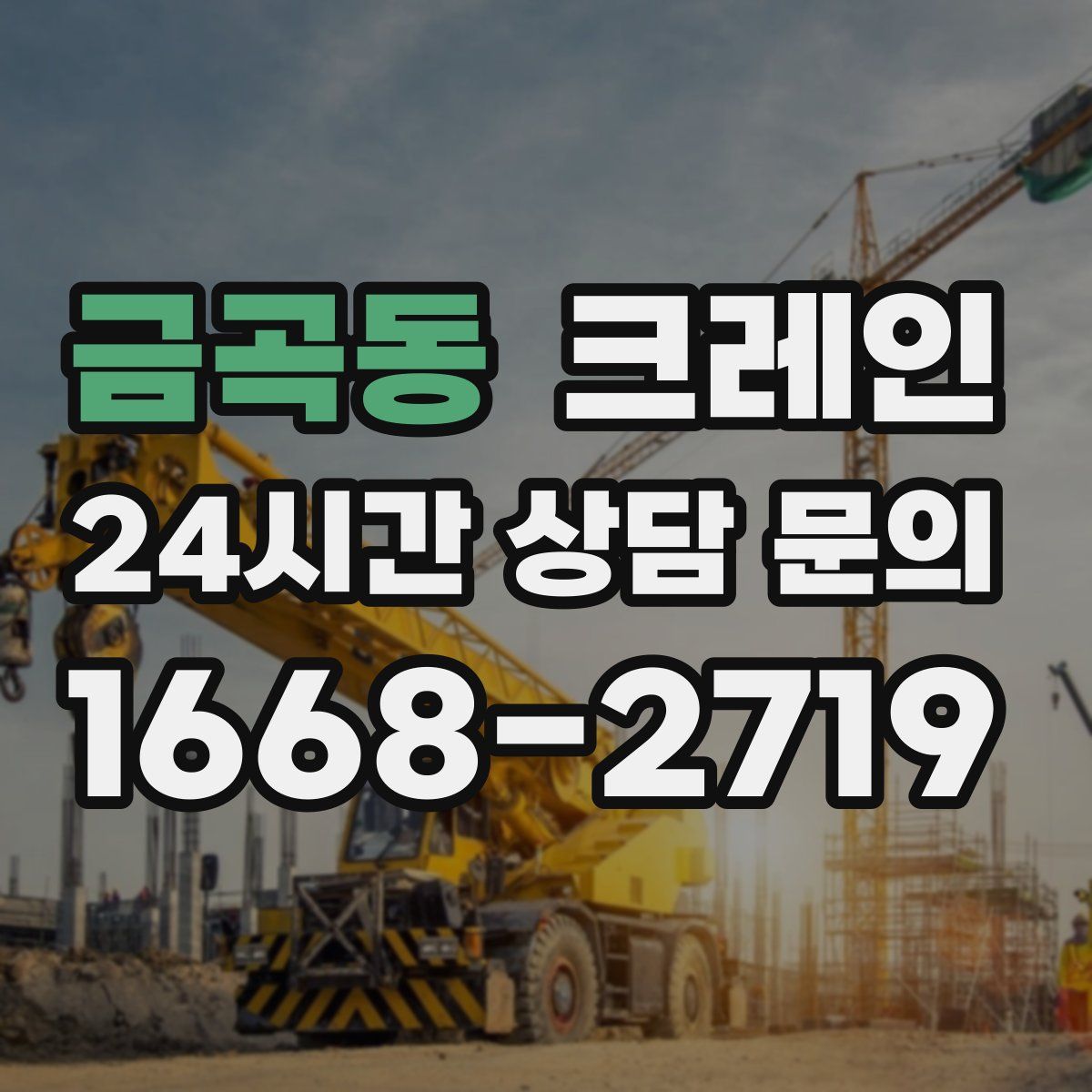 금곡동 카고 크레인
