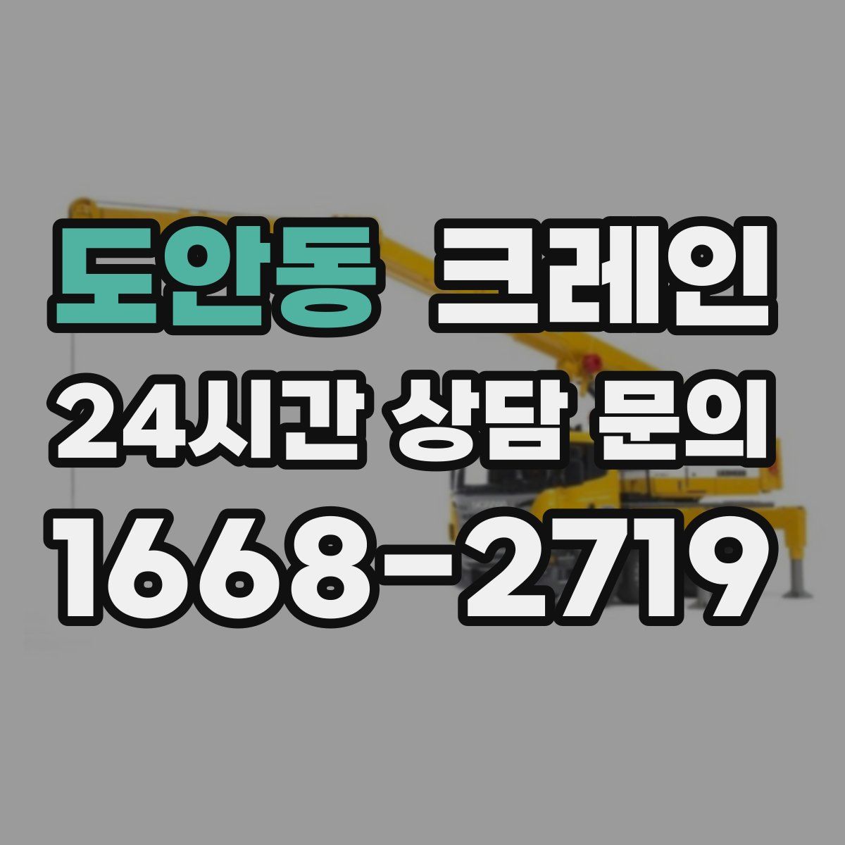 도안동 카고 크레인