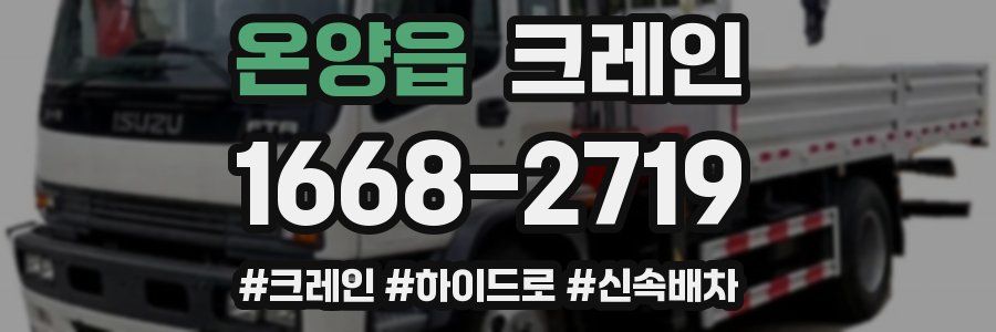 온양읍 크레인 작업