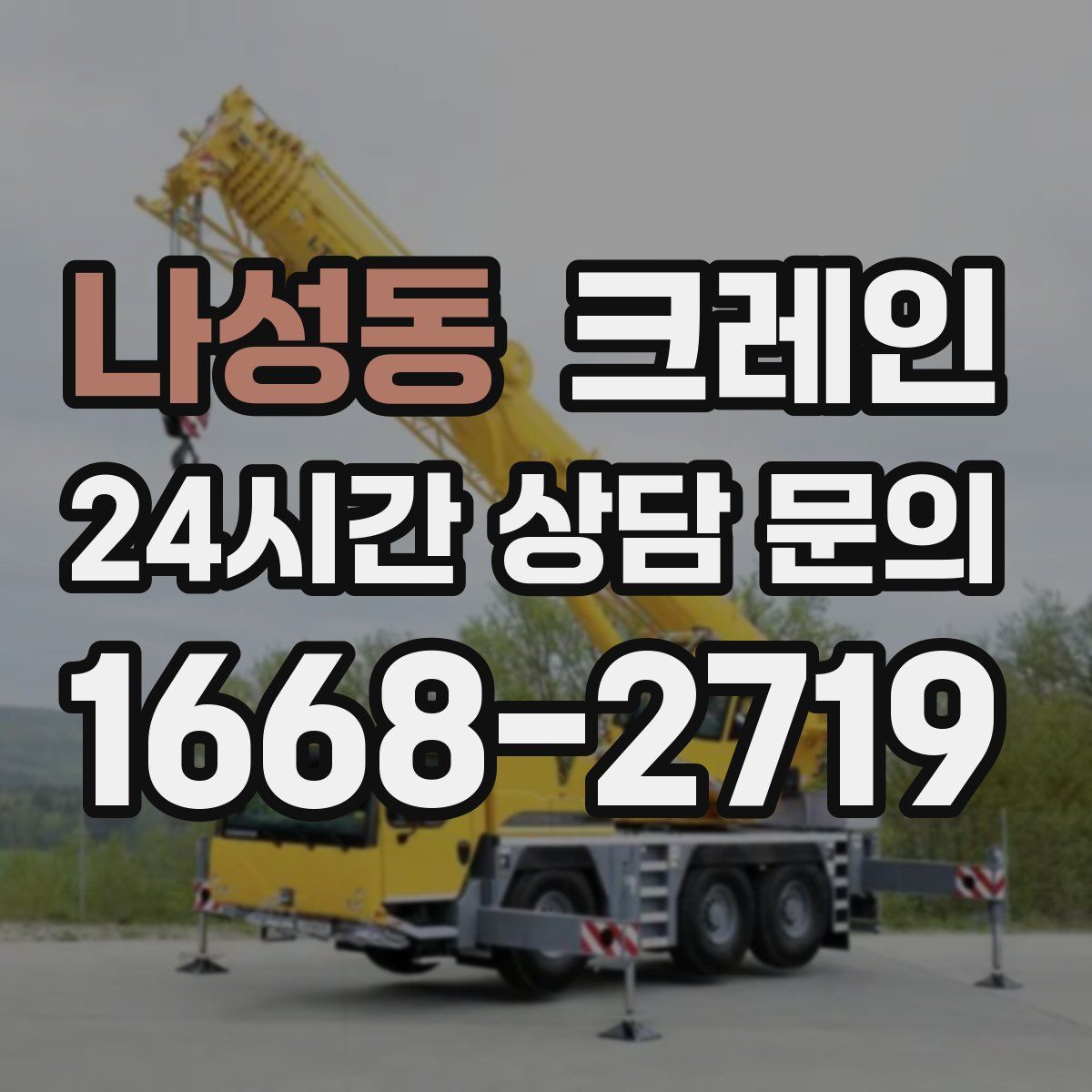 나성동 카고 크레인