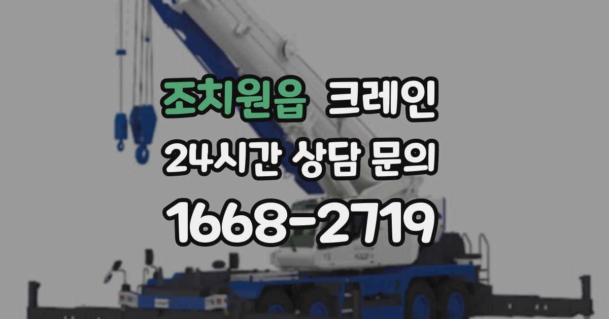 조치원읍 크레인