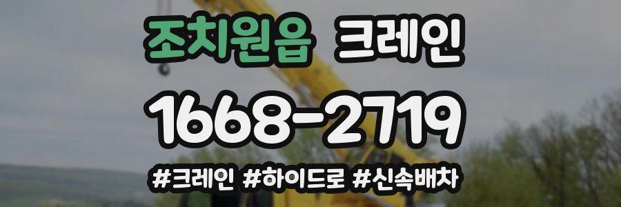 조치원읍 크레인 작업