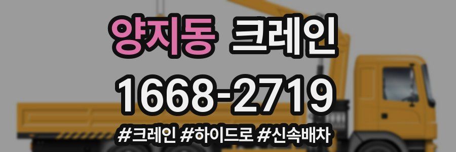 양지동 크레인 작업